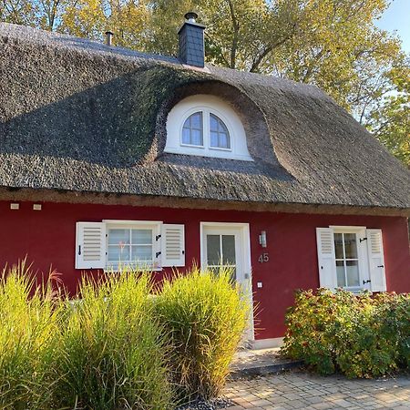 Ferienhaus Stella 格洛威 外观 照片